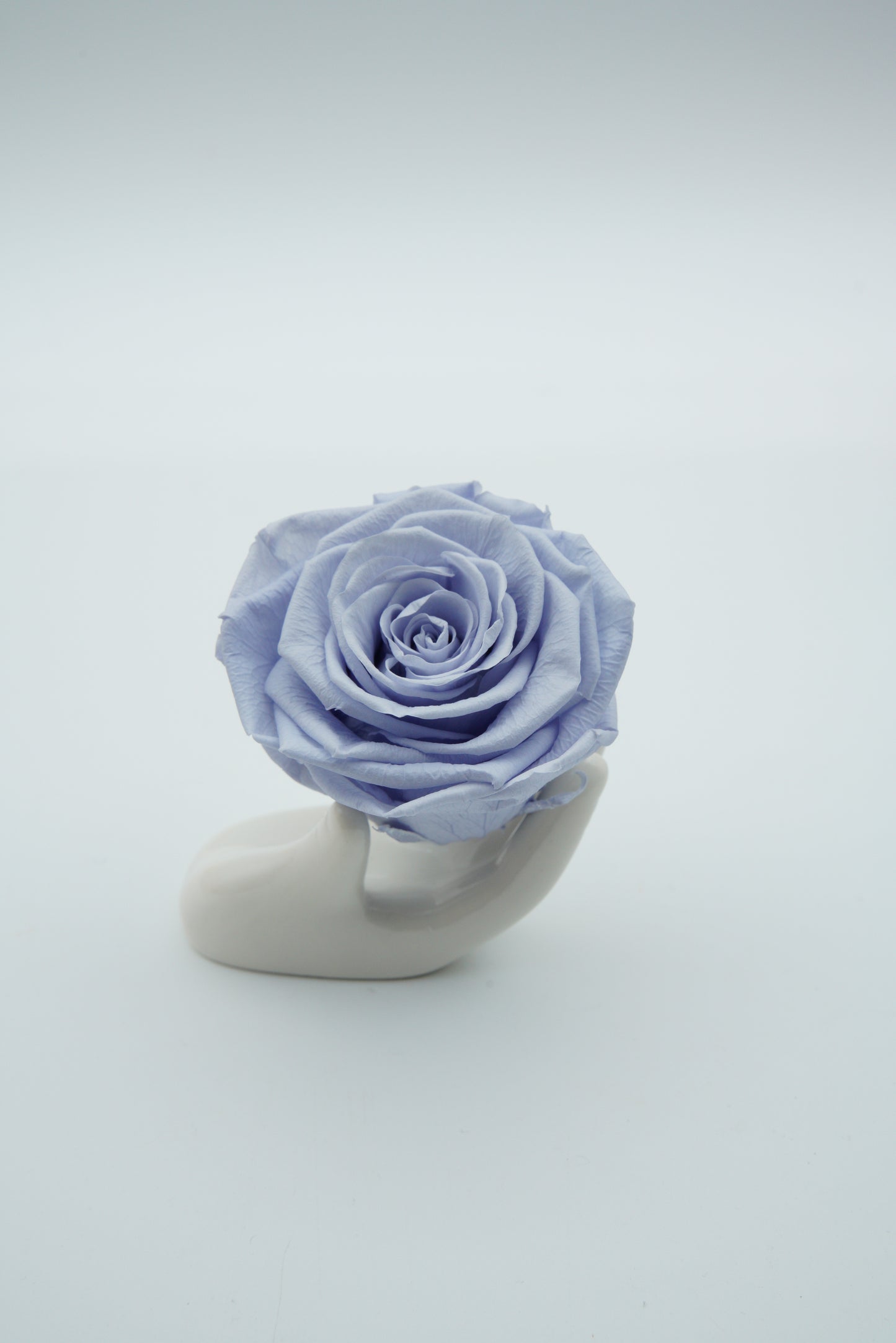 12 Rose Premium box with Drawer