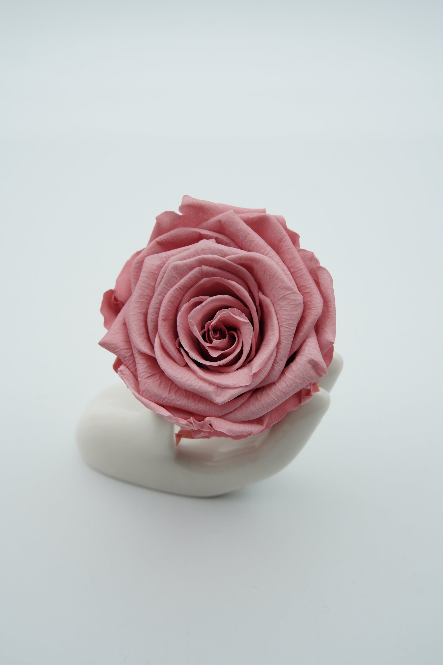 12 Rose Premium box with Drawer