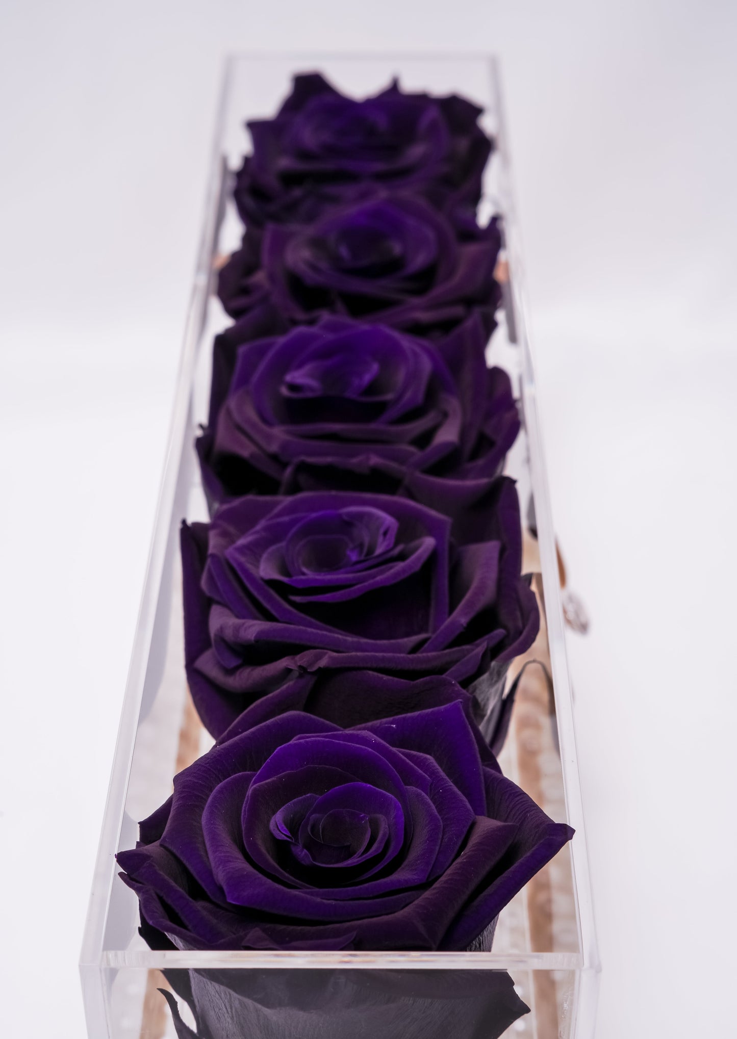 5 Rose Premium box with Stem