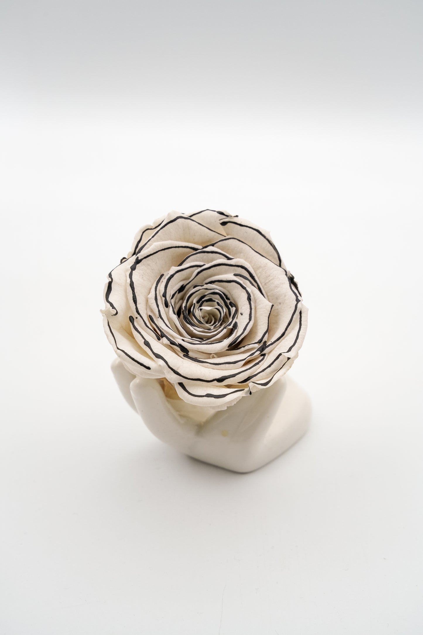 24 Rose Premium box with Stem