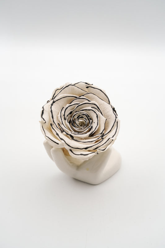 Special Edition CHANEL roses