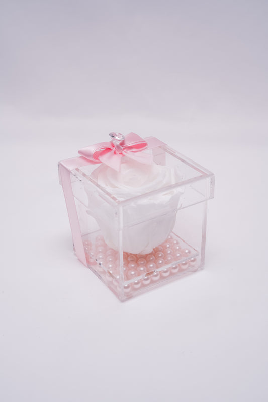 Single Premium box no Drawer