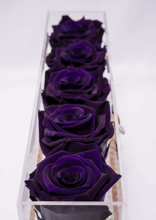 5 Rose Premium box with Stem