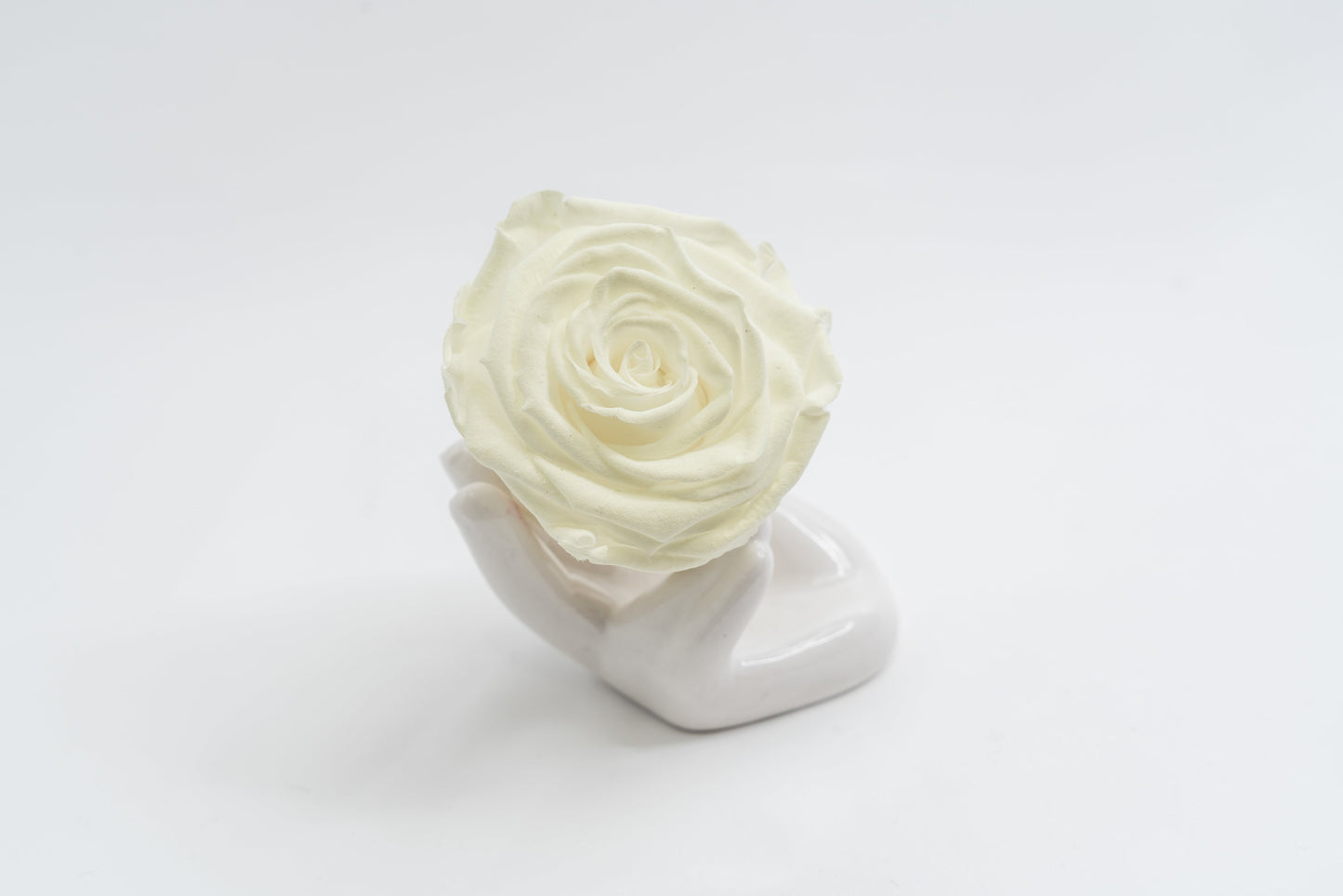 Single Premium box with stem