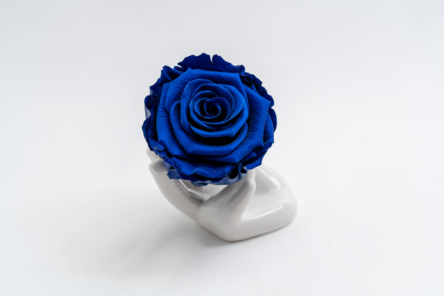 Single Premium box with stem