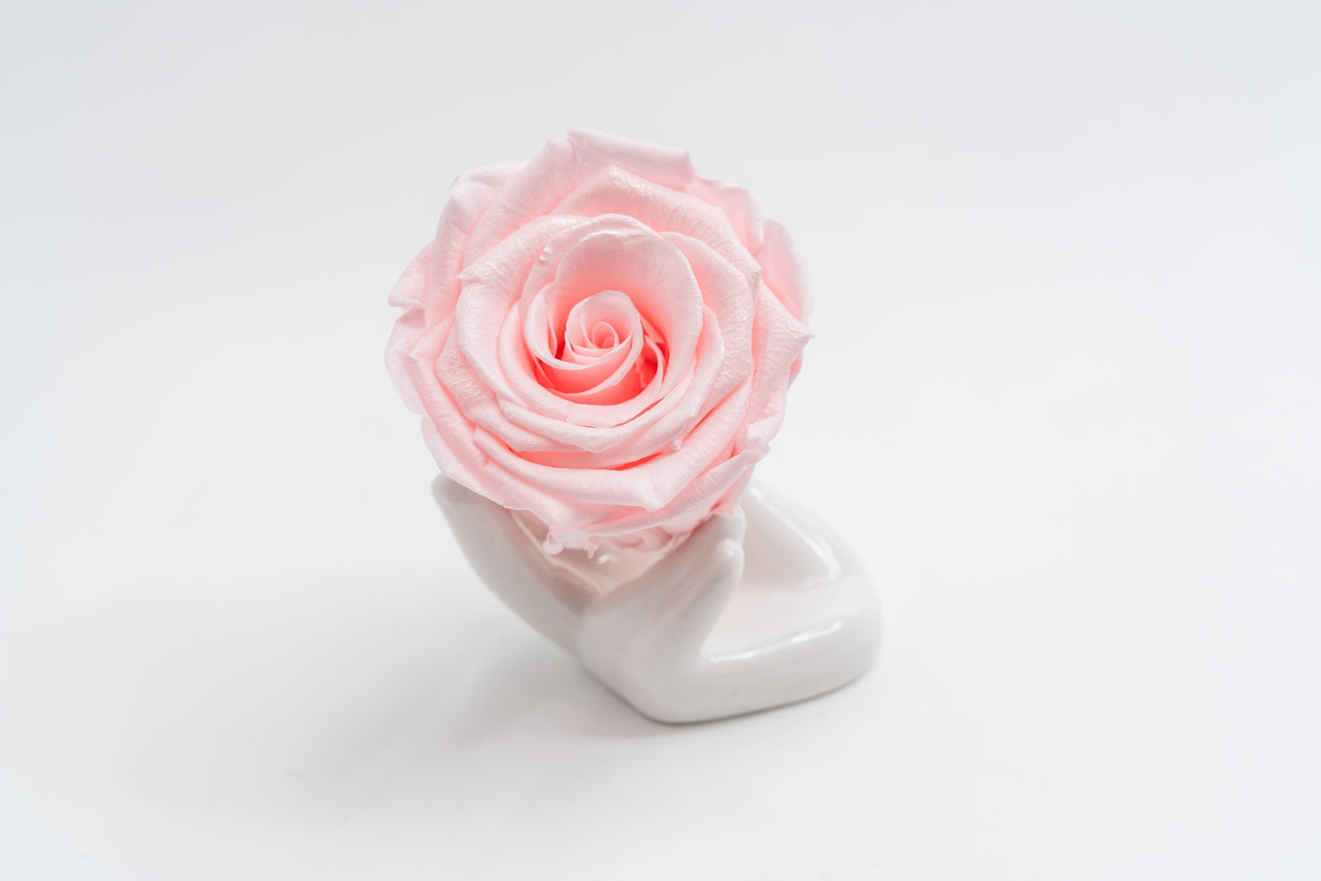 16 Rose Premium box with Drawer