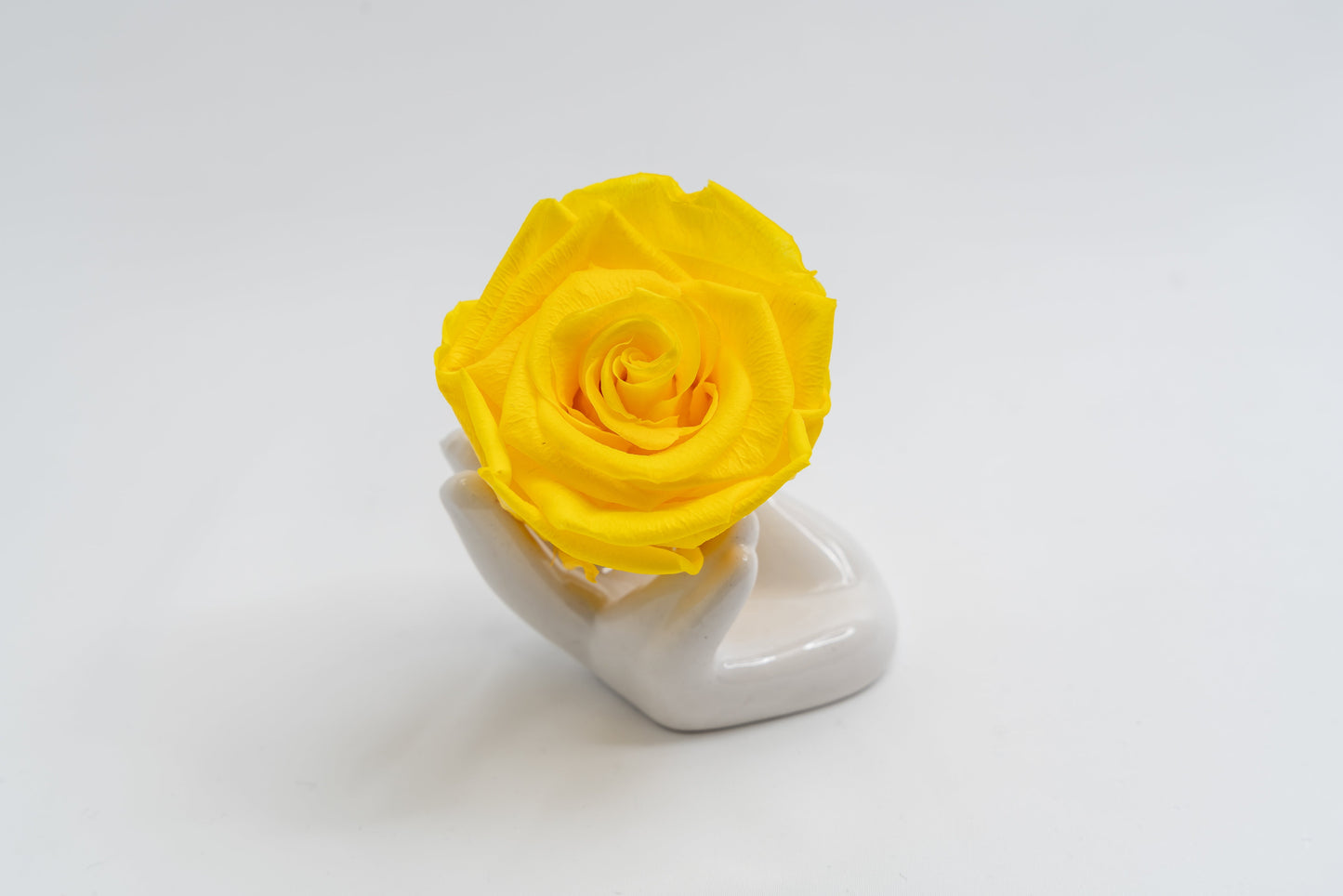 Single Premium box with stem