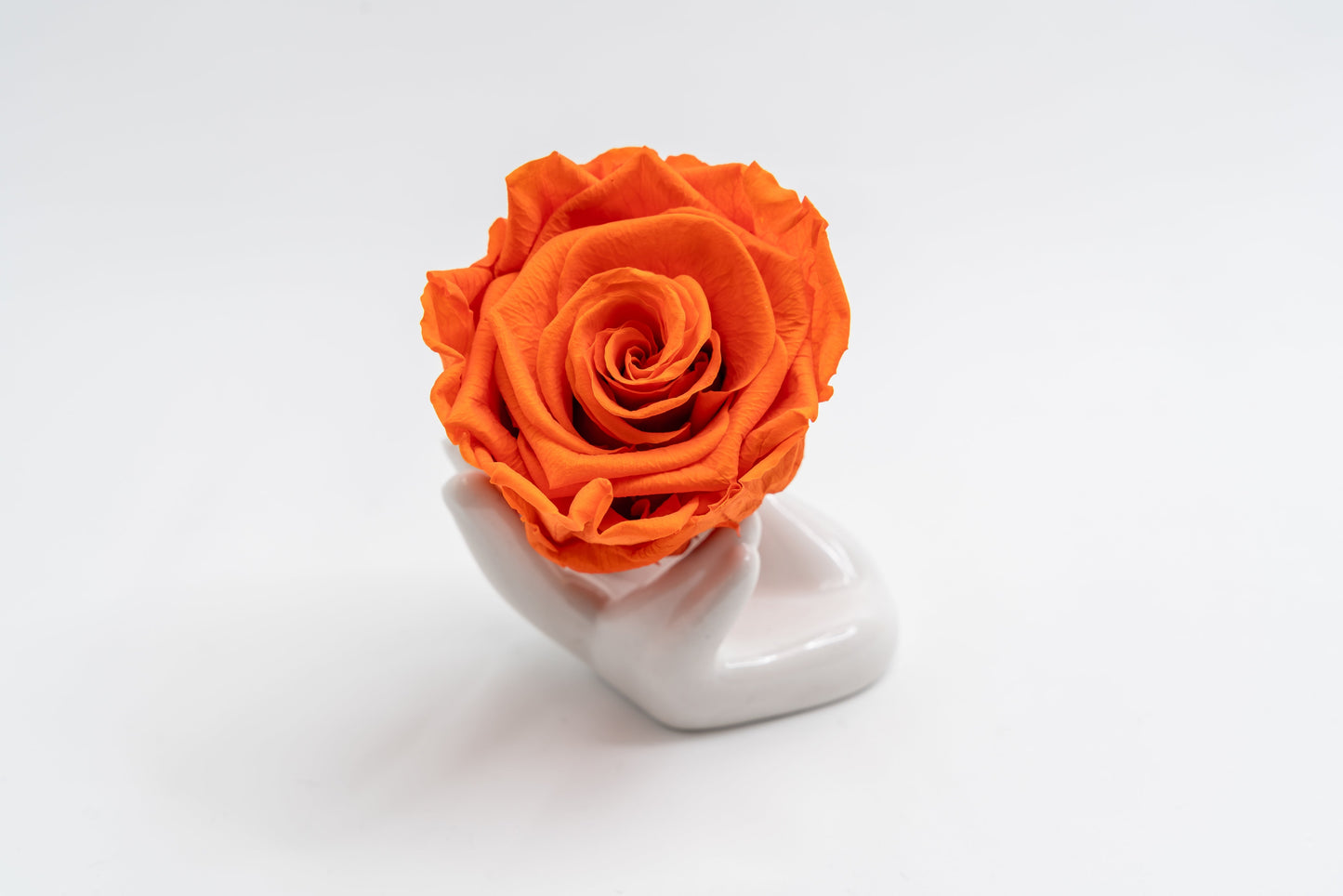 Single Premium box with stem