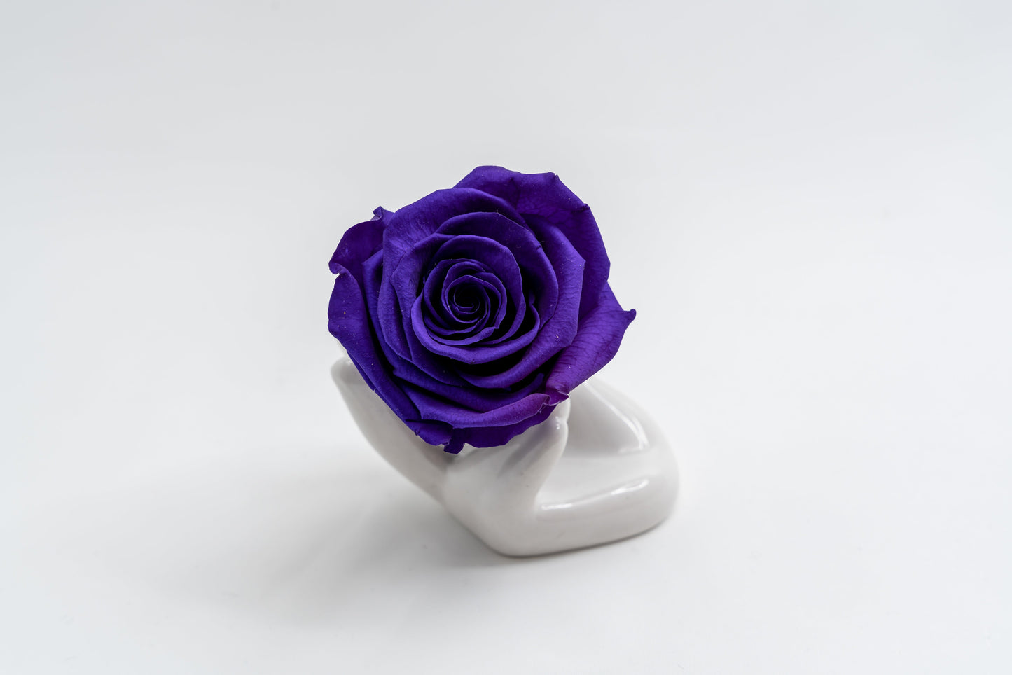 Single Premium box with stem