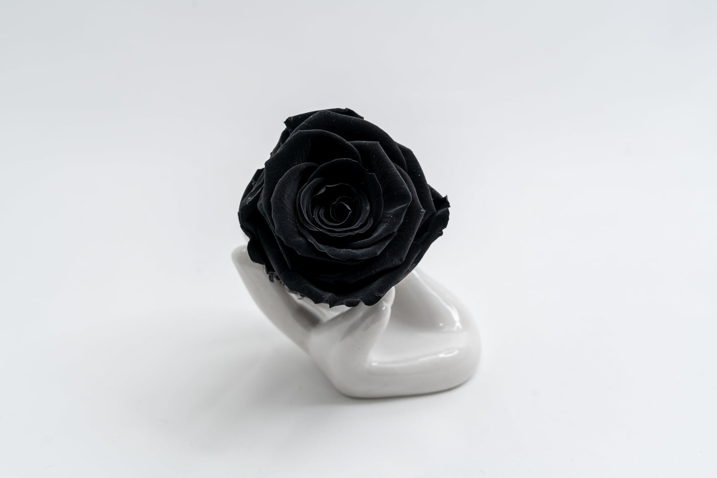 16 Rose Premium box with Drawer