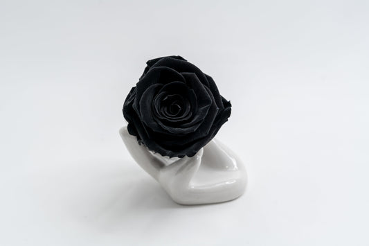 4 Rose Premium box with Drawer