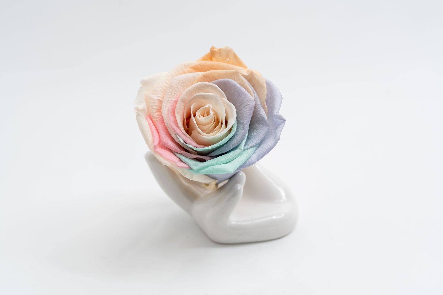 16 Rose Premium box with Drawer
