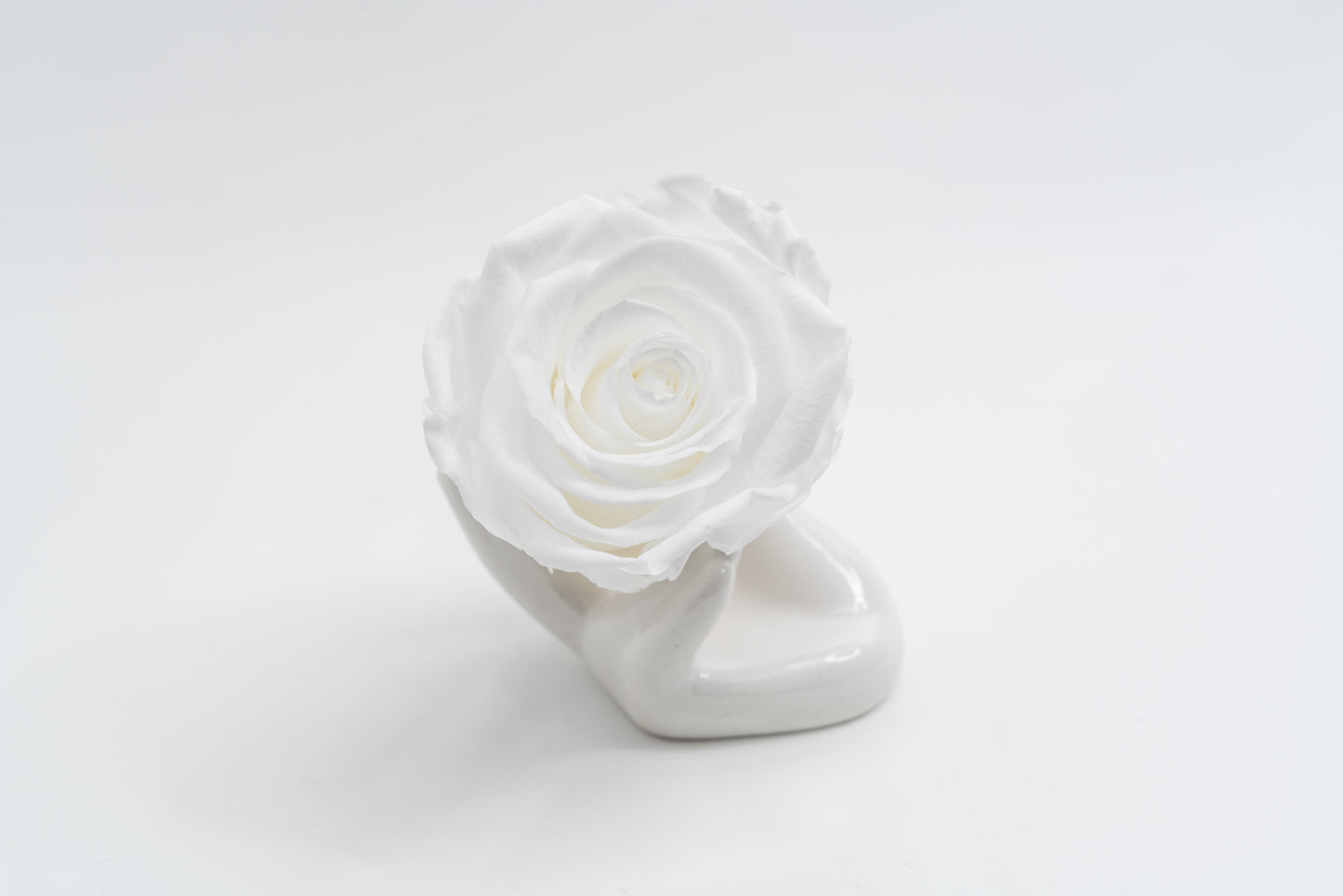 Single Premium box with stem
