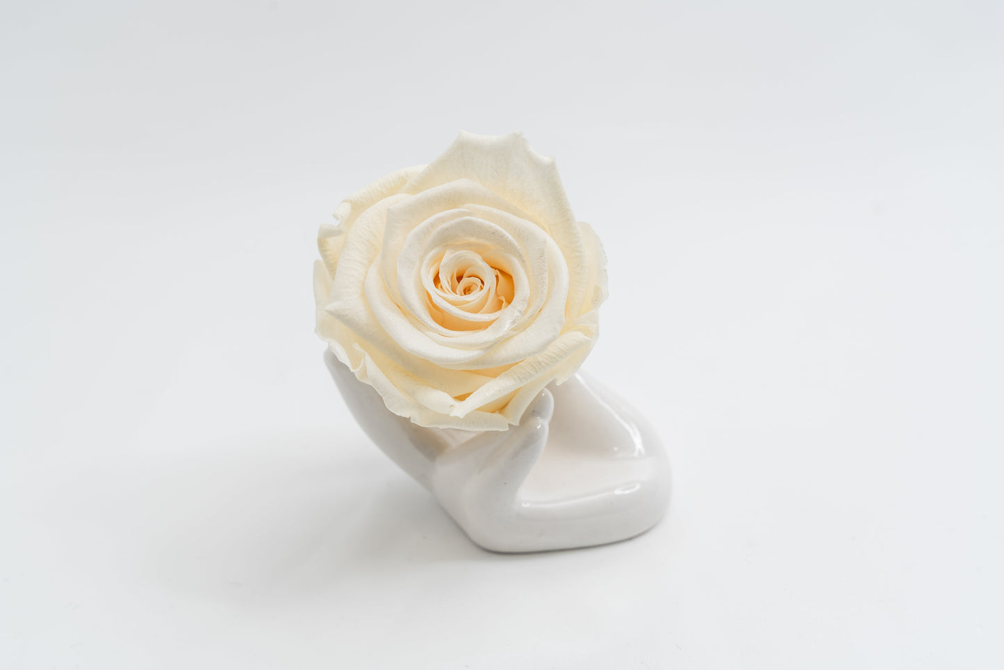 Single Premium box with stem
