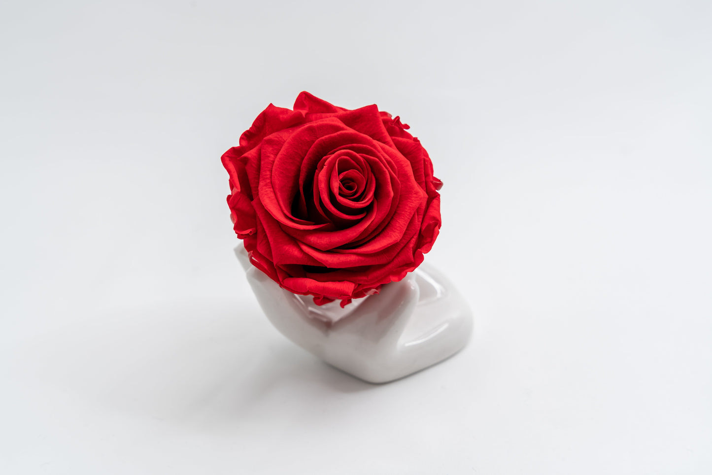 Single Premium box with stem