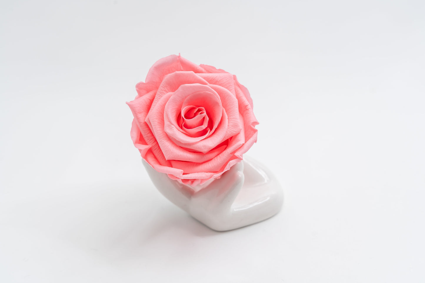 24 Rose Premium box with Stem